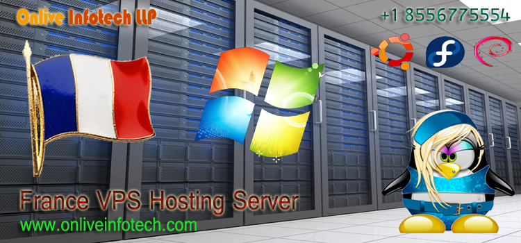 Why Choose France Virtual Private Server Hosting For Your Website?