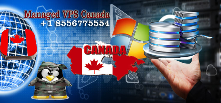 How are Managed VPS Canada useful for an organization?