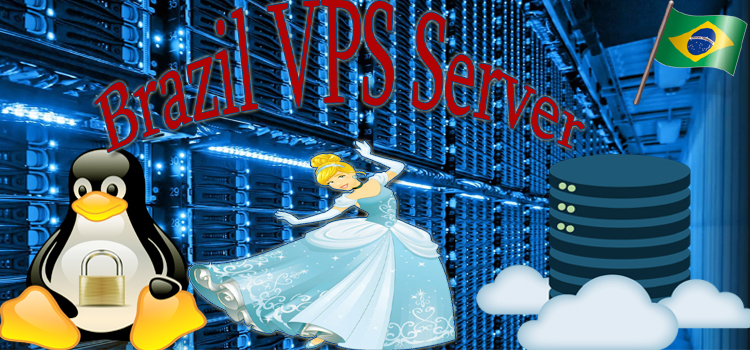 There are some Objectives Regarding Brazil VPS Server
