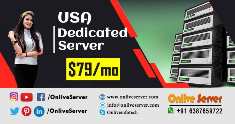 Choosing USA Dedicated Server Hosting Plans from us