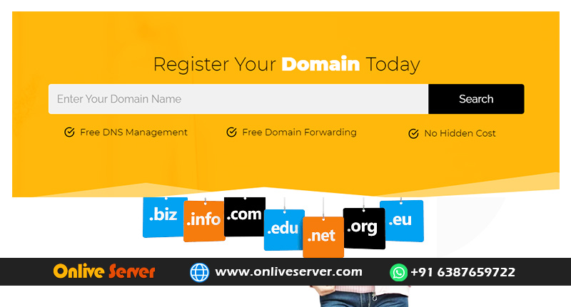 Domain Name Registrar