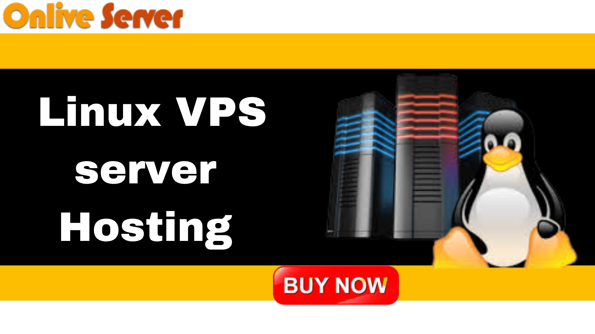 Linux VPS server Hosting