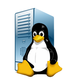 linux-server